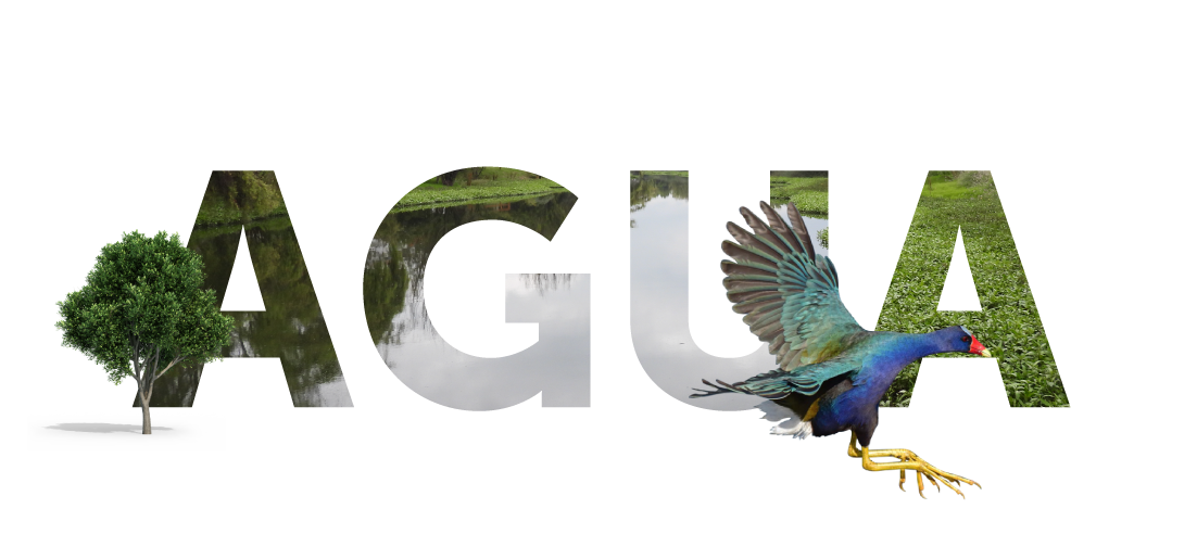 AGUA